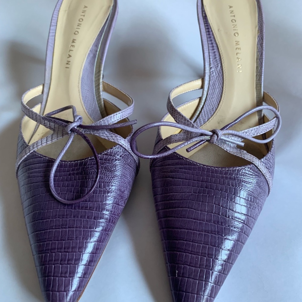 ANTONIO MILANI POINTED TOE HEELS